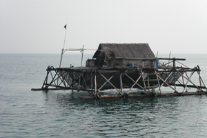 Indonesian fish farm