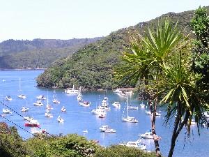 Great Barrier Island